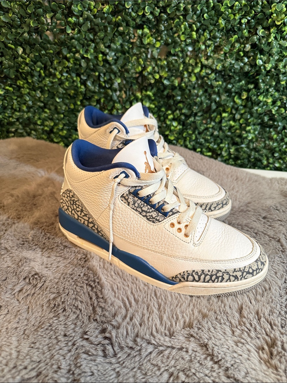 Air Jordan Retro 3 Washington Wizards size 6